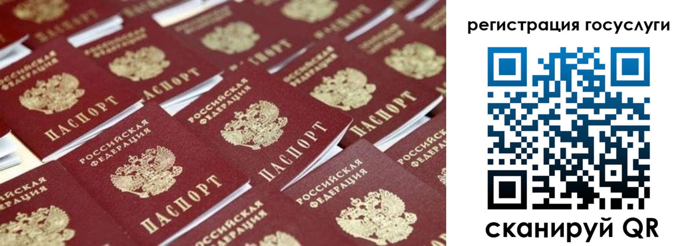 прописка ребенка в Брянске